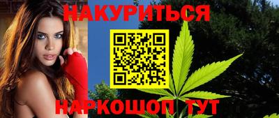 шишки Кингисепп