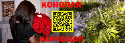 шишки Кингисепп