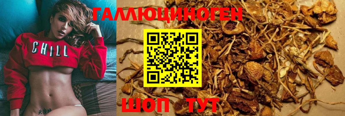 Псилоцибиновые грибы Psilocybe  Галлюциногенные грибы ЛСД  Вход с VPN  Губаха 